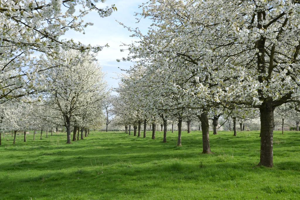 Huis Van Loon Borgloon Bagian luar foto